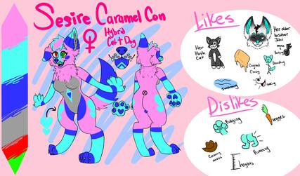 Ref Sheet v.2- $20.00